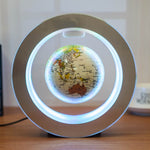Round Magnetic Levitation Globe Table Lamp