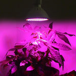 200 LED Grow Light E27 Plant Lamp With Clip