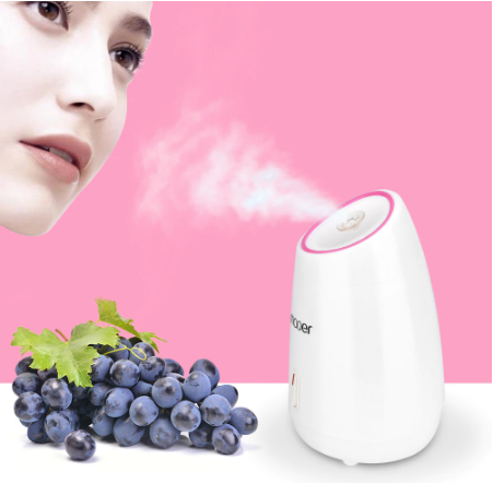 Facial Steamer Face Humidifier