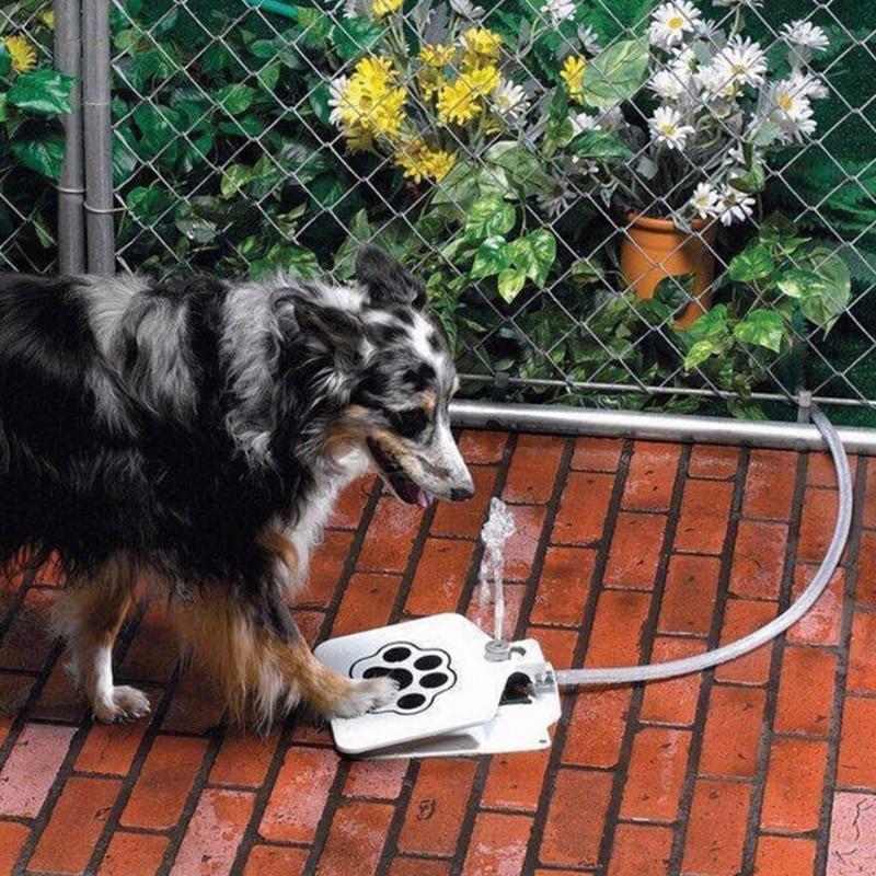 Outdoor Dog Water Fountain - Auto Pet Water Dispenser System
