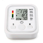 Portable Blood Pressure Monitor